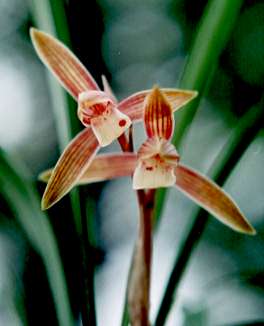 �n���J������