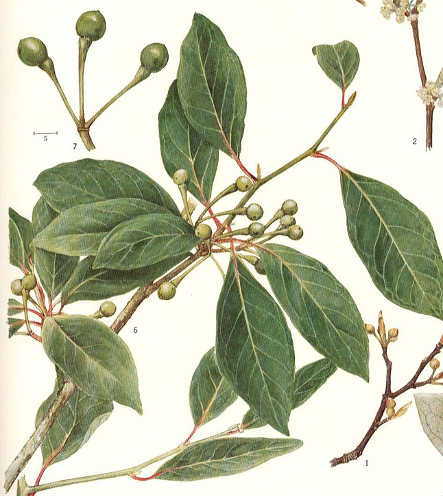 �N�����W