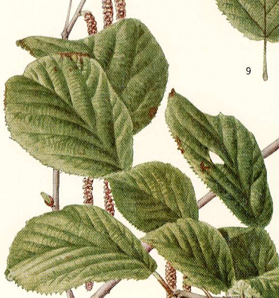 �c�m�n�V�o�~