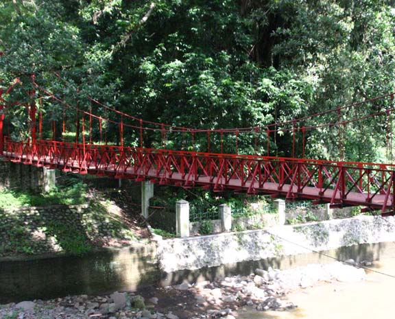 植物園内吊り橋